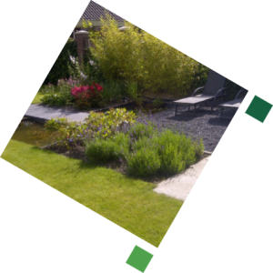 Landelijke tuin
