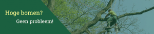 Hoge bomen? Geen probleem!