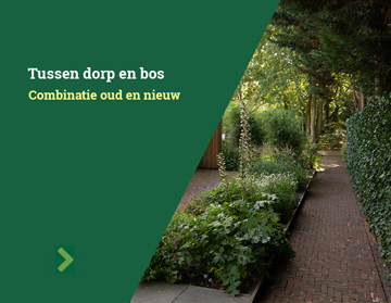 Tussen dorp en bos